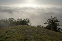 Cjp_2011_10_20_073232.jpg