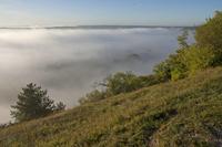 Cjp_2011_10_20_073402.jpg