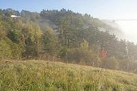 Cjp_2011_10_20_074002.jpg