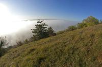 Cjp_2011_10_20_080136.jpg