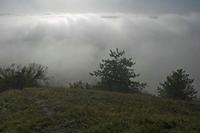 Cjp_2011_10_20_081402.jpg