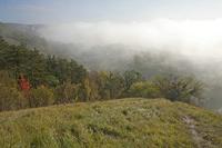 Cjp_2011_10_20_084524.jpg