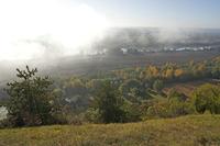 Cjp_2011_10_20_085356.jpg
