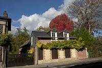 Cjp_2011_10_20_132716.jpg