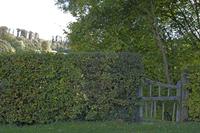 Cjp_2011_10_20_133754.jpg