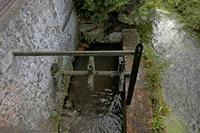 Cjp_2011_10_20_141350.jpg