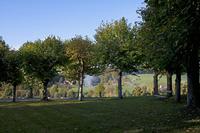 Cjp_2011_10_20_150356.jpg