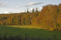 Cjp_2011_10_20_153530.jpg