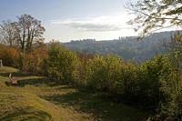 Cjp_2011_10_21_082554.jpg