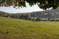 Cjp_2011_10_21_084222.jpg