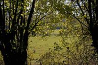 Cjp_2011_10_21_093238.jpg