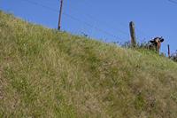 Cjp_2011_10_21_094838.jpg