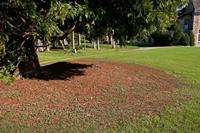 Cjp_2011_10_21_121352.jpg