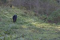 Cjp_2011_10_21_124840.jpg