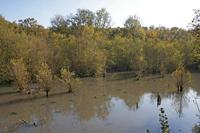 Cjp_2011_10_21_132640.jpg
