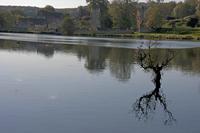 Cjp_2011_10_21_133644.jpg