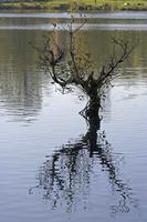 Cjp_2011_10_21_133844.jpg
