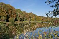Cjp_2011_10_21_140736.jpg