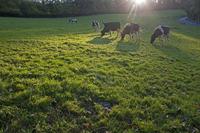 Cjp_2011_10_21_154004.jpg