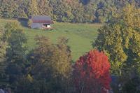 Cjp_2011_10_22_074546.jpg
