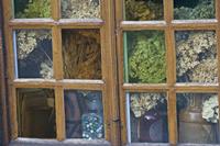 Cjp_2011_10_22_075416.jpg
