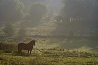 Cjp_2011_10_22_075940.jpg