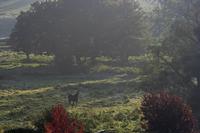 Cjp_2011_10_22_081414.jpg