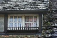 Cjp_2011_10_22_083006.jpg
