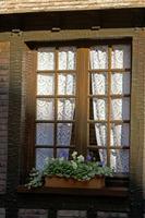 Cjp_2011_10_22_090048.jpg