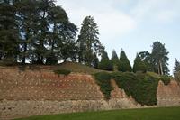 Cjp_2011_11_16_131538.jpg