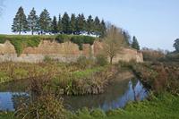 Cjp_2011_11_16_132702.jpg
