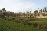Cjp_2011_11_16_133234.jpg