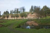 Cjp_2011_11_16_133656.jpg