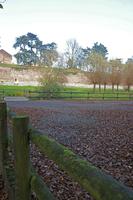 Cjp_2011_11_16_133924.jpg
