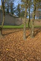 Cjp_2011_11_16_134234.jpg