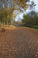 Cjp_2011_11_16_134254.jpg