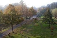 Cjp_2011_11_16_135258.jpg