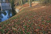 Cjp_2011_11_16_142456.jpg