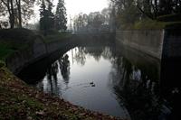 Cjp_2011_11_16_142528.jpg