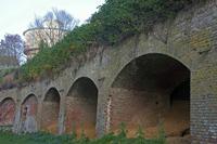 Cjp_2011_11_16_143950.jpg