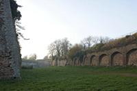 Cjp_2011_11_16_144022.jpg