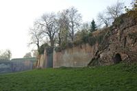 Cjp_2011_11_16_144122.jpg