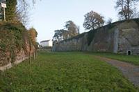 Cjp_2011_11_16_144322.jpg