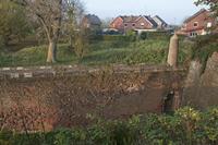 Cjp_2011_11_16_144558.jpg