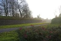 Cjp_2011_11_16_145706.jpg