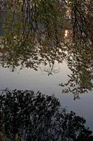 Cjp_2011_11_16_153144.jpg