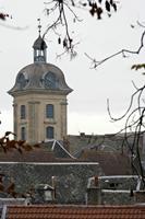 Cjp_2011_11_17_085044.jpg