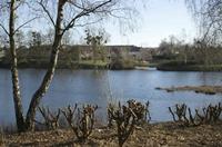 Cjp_2012_01_16_133936.jpg