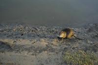 Cjp_2012_01_16_152146.jpg