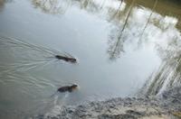 Cjp_2012_01_16_152504.jpg